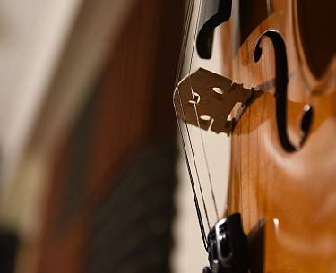 Violine Violine
